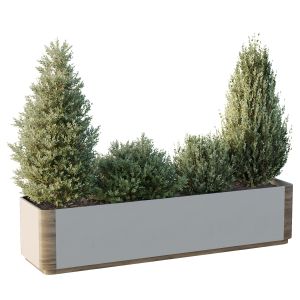 Hq Tree And Bush Garden Box Outdoor  Vol 56