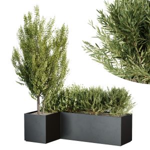 Hq Tree And Bush Garden Box Outdoor  Vol 57