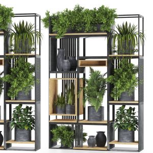 Indoor Plants In Metal Shelf Set-89