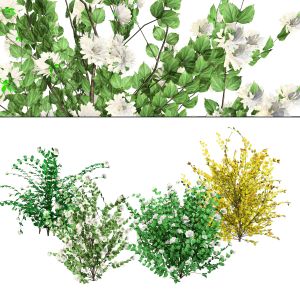 Double Snowflake Mock Orange Flower 3d Collection