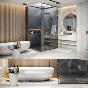 Bathroom Design 1