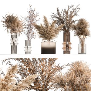 Set Of Bouquets Of Dried Flowers Palm Leaf Pampas