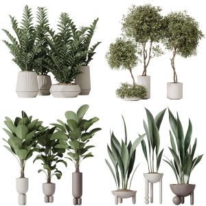 5 Different SETS of Plant Indoor. SET VOL141