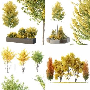 5 Different SETS of Plant Tree. SET VOL145