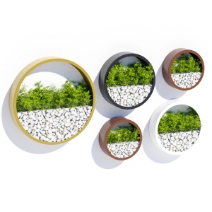 Wall Planters One