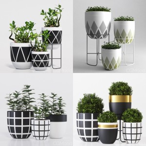 Designtwins pot