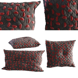 Cushion Throw Pillows