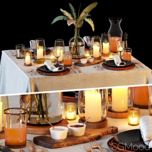 Table Setting 1