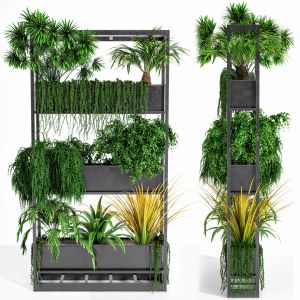 Indoor Plant Set 05