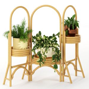 Decorative Plant on Stand