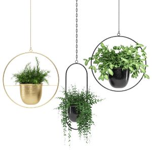 Hanging Pots