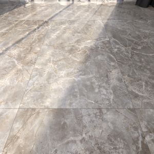 Marble Floor 262