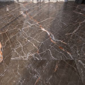 Marble Floor 264