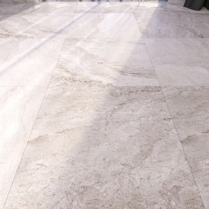 Marble Floor 269