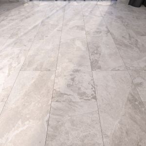 Marble Floor 299