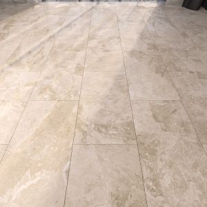 Marble Floor 302