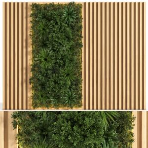 Wooden Planks And Vertical Garden