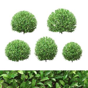 Boxwood Round Shaped 27 - 34cm