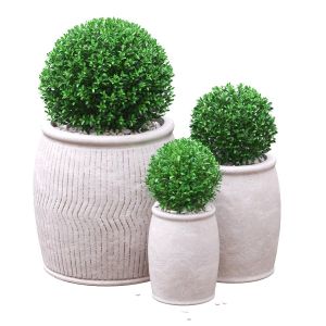 Potted Buxus Balls 02