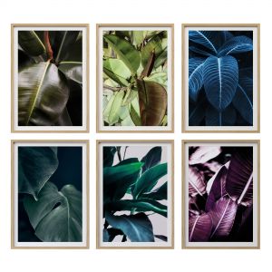 JUNIQE Ficus Poster