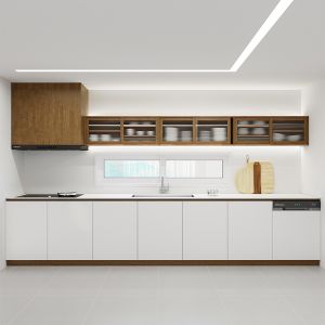 Modern Kitchen