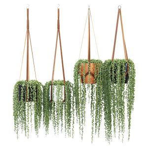 Plant Hanger