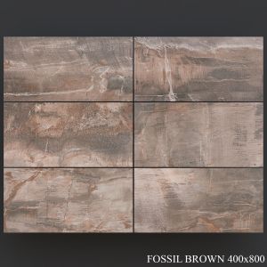 Abk Fossil Brown 400x800