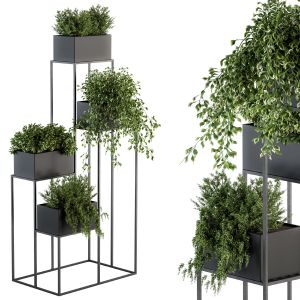 Indoor Plant Set 100 - Black Stand