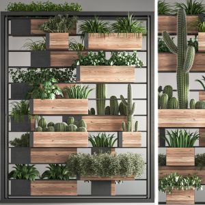 indoor plant and vertical plant in box set 34