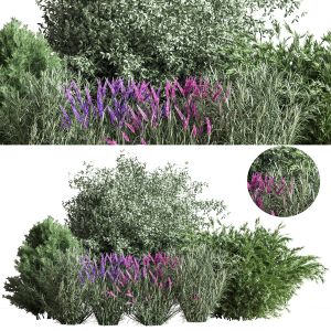 Mixed_plane_bush_bush03