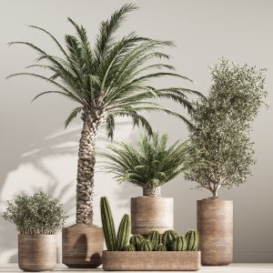 Indoor Plant Set 36