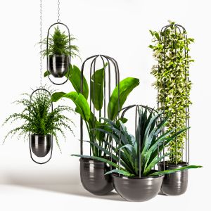 Indoor Plants Set04