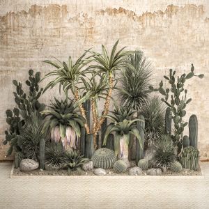 Collection Of Tropical Desert Plants 1108a