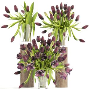 Bouquet Of Tulips In A Glass Vase For Decoration