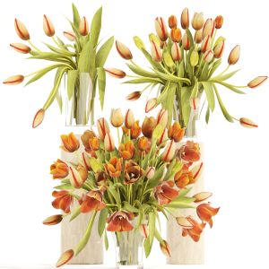 Bouquet Of Tulips In A Glass Vase For Decoration