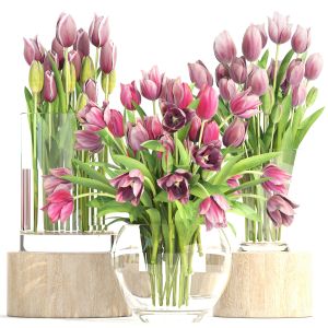 Bouquet Of Tulips In A Glass Vase For Decoration