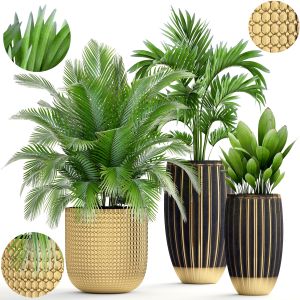 Collection Plants In A Luxury Flower Pot For Decor