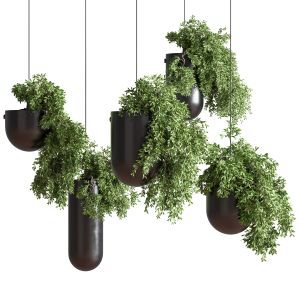 Indoorplantshangingpotmetalvase01