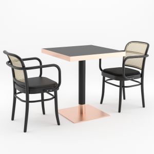 Dinning Set By Thonet Vienna