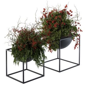 Indoor Plant Set 104 - Black Stand