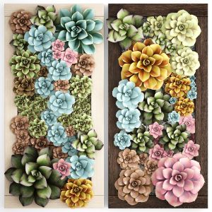 Echeveria Vertical Garden Succulents