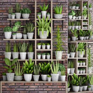 Flower shelf with plants in concrete pots