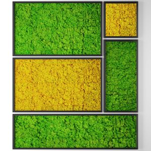 Stabilized Moss, Vertical Garden, Painting