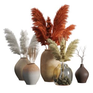 Clay Vases With Dried Grass