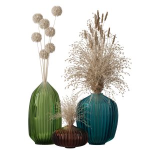 Decorative Dried Plants Vol.1