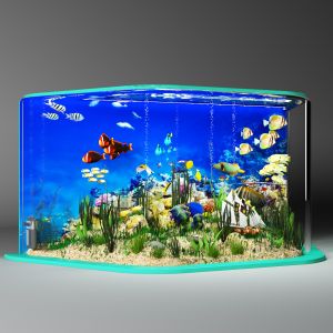 Aquarium