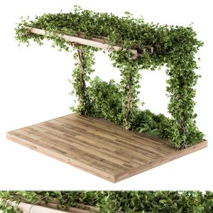 Ivy Plants On Pergola - Architect Element 16