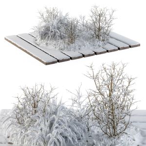 Outdoor Plants Tree In Garden Snow - Set 107