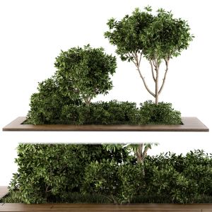 Garden Set Bush And Tree - Garden Set 07