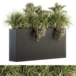 Outdoor Plants Tree In Plant Box - Set 124